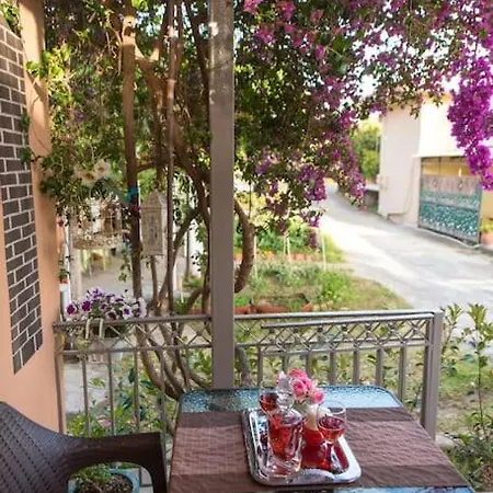 Bougainvillea House 1