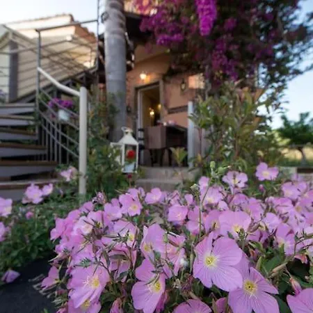 Bougainvillea House 1 * Каламата