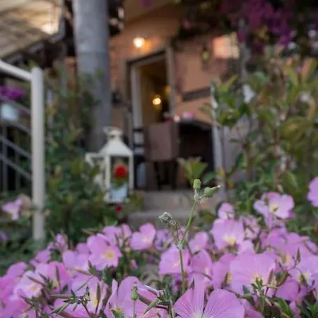 Bougainvillea House 1 * Kalamata