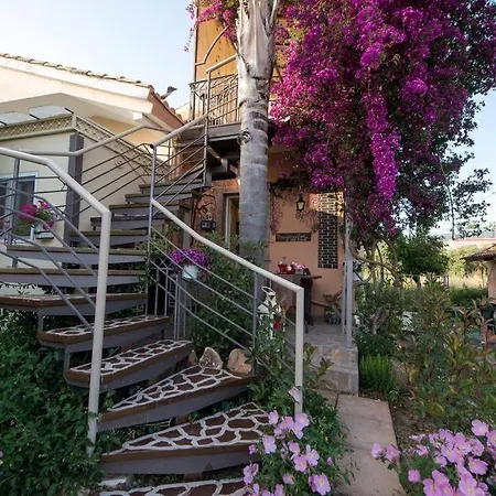 Bougainvillea House 1 Apartment Kalamata