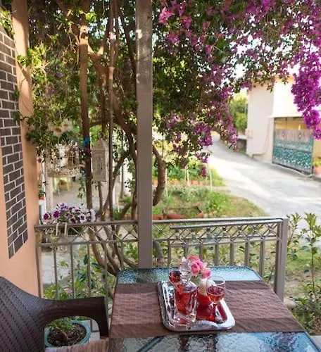 Bougainvillea House 1