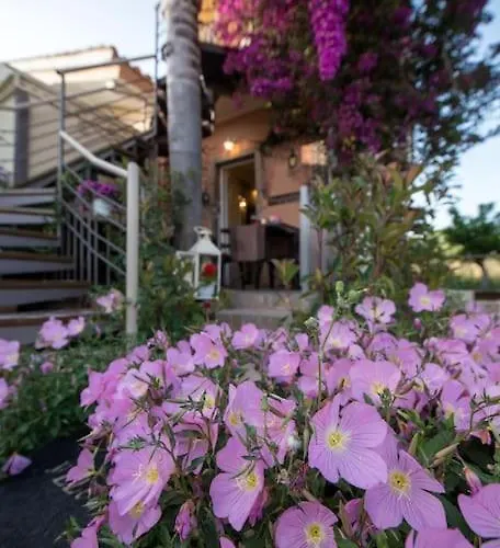 Bougainvillea House 1 * 칼라마타